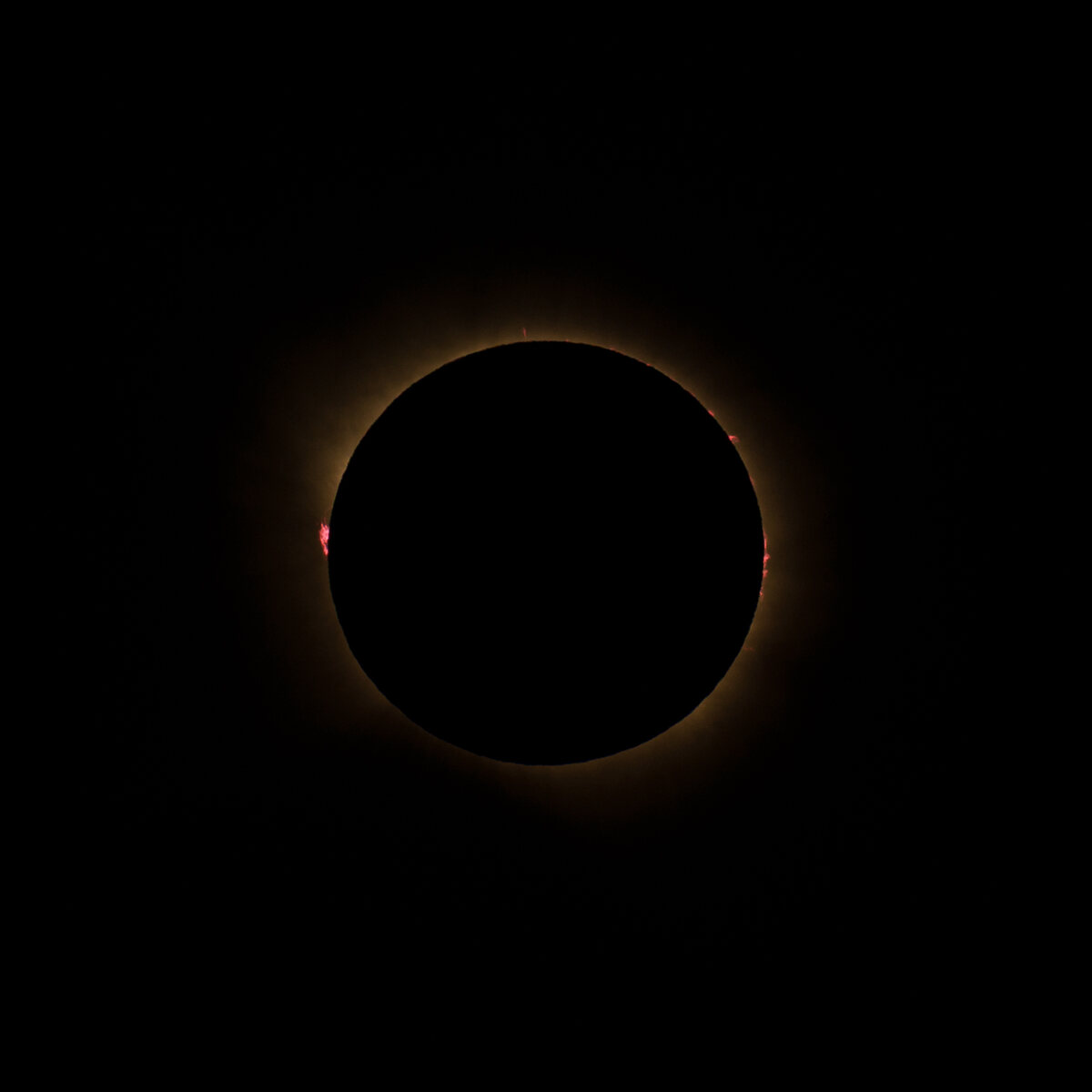 The corona at mid-totality with prominences visible on both limbs.