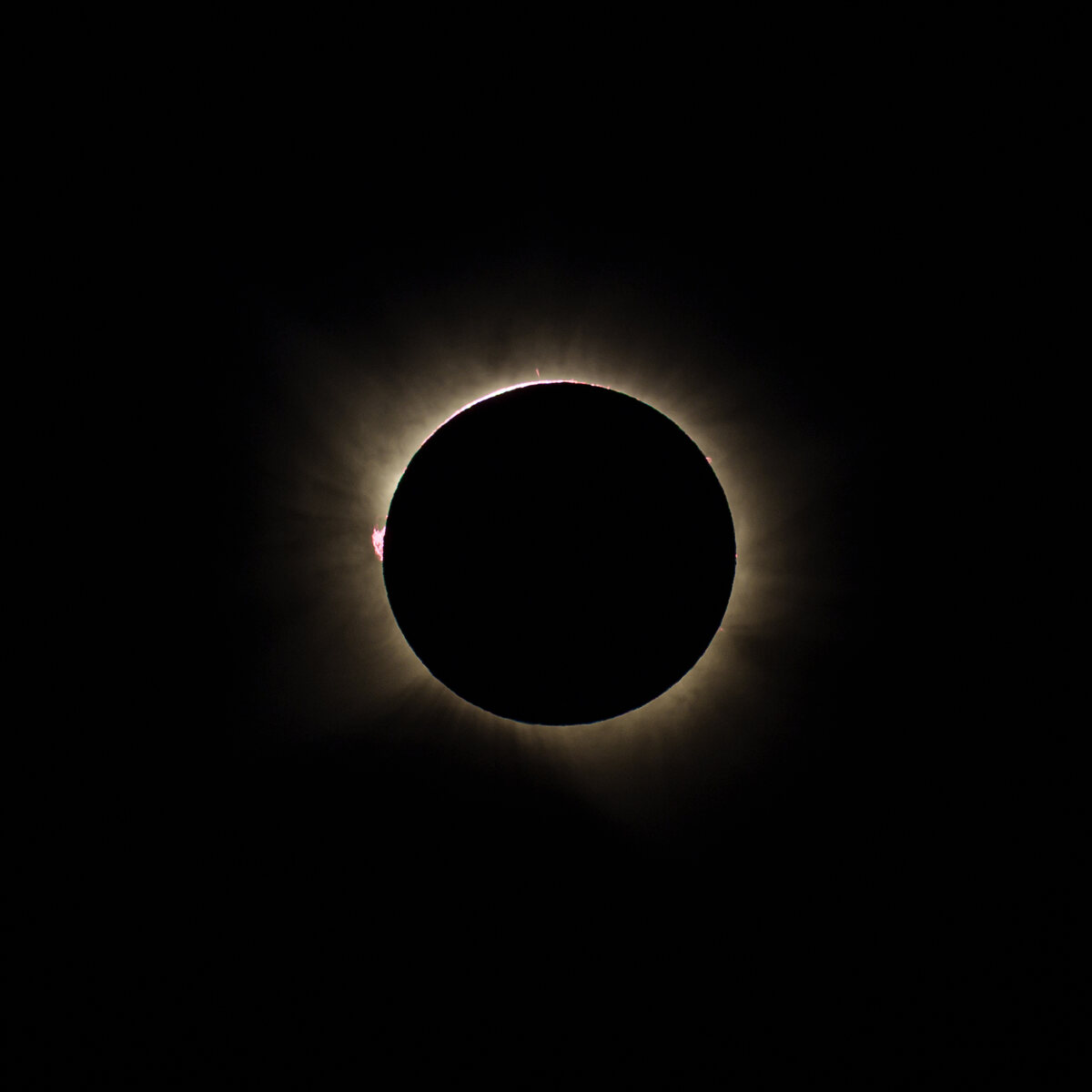 Totality: the black lunar disc surrounded by the corona, with a prominence on the left limb.