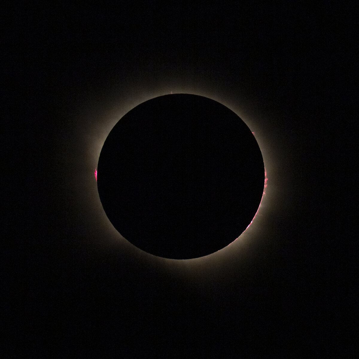 Baily's beads: the last sunlight broken into points around the lunar limb, with pink prominences.