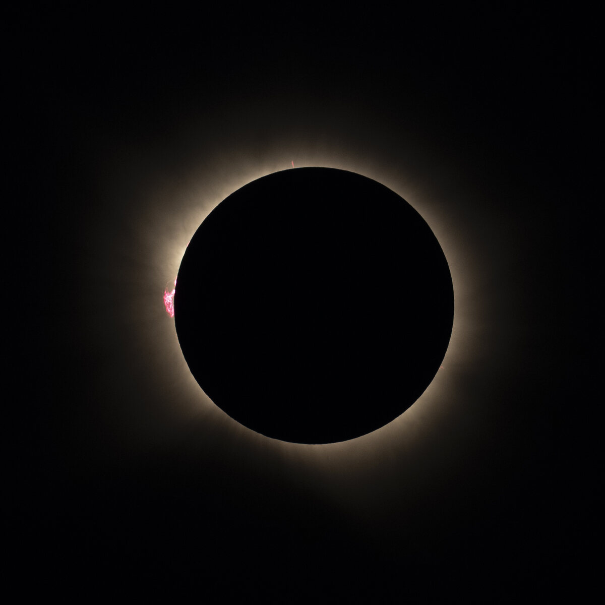 Totality with the inner corona and a large pink prominence on the left limb.
